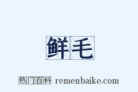 鲜毛是什么意思的图片